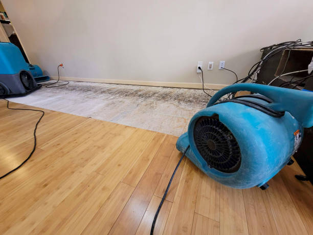 Professional Basement Flood Cleanup technician working in Jacksontown, OH